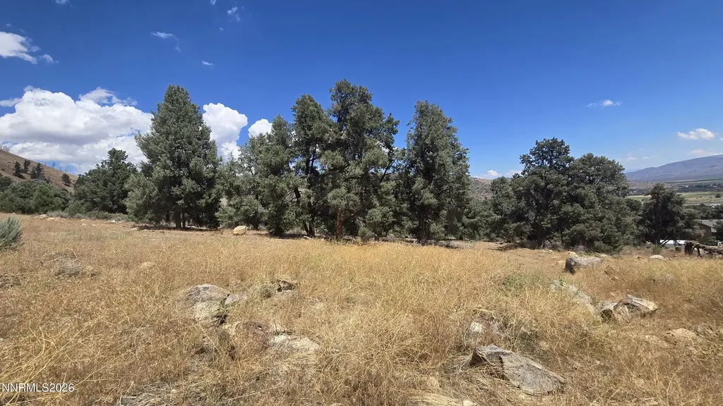 1548 Moss Gardnerville NV 89410