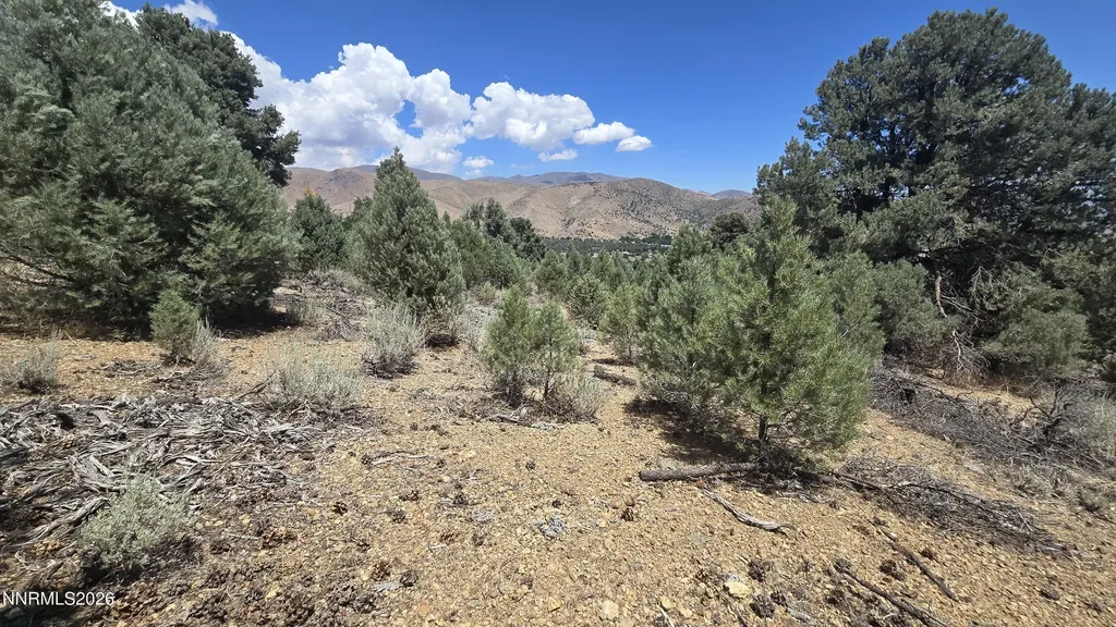1548 Moss Gardnerville NV 89410