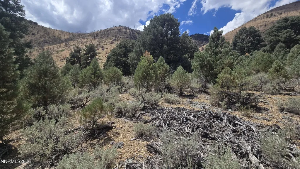 1548 Moss Gardnerville NV 89410