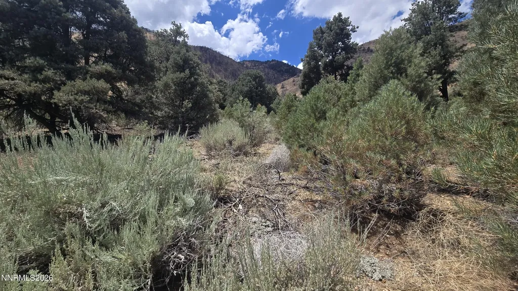 1548 Moss Gardnerville NV 89410