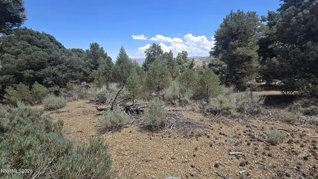 1548 Moss Gardnerville NV 89410