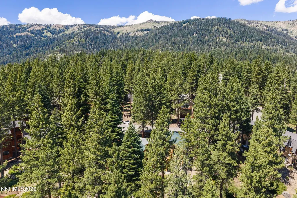 582 Douglas Incline Village NV 89451