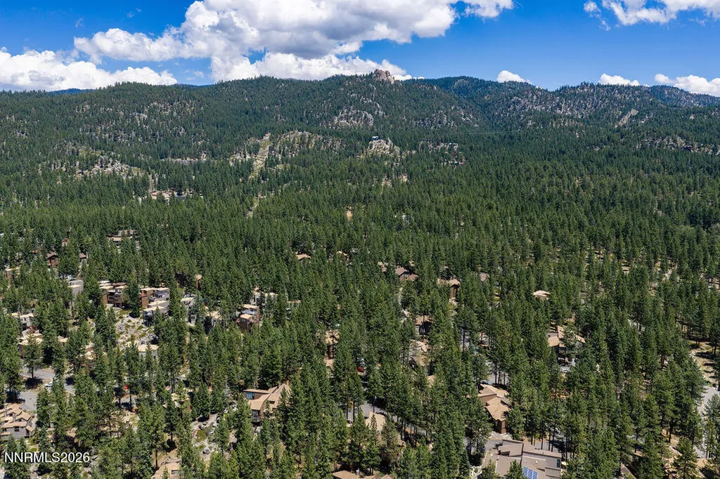 31 Chalet Stateline NV 89449