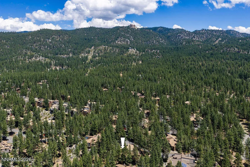 31 Chalet Stateline NV 89449