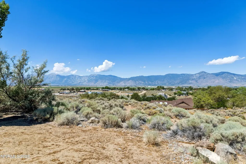 1680 Toni Minden NV 89423