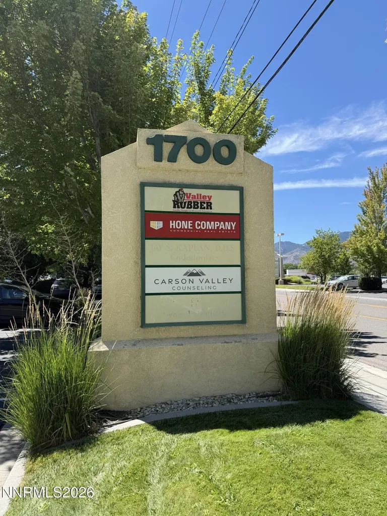 1700 County Minden NV 89423