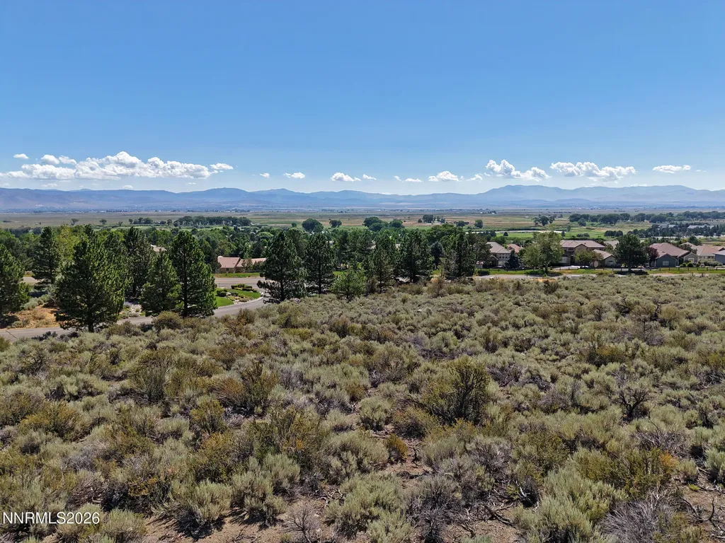 2458 Eagle Ridge Genoa NV 89411