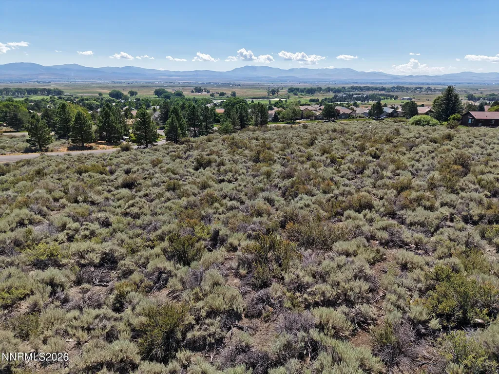 2458 Eagle Ridge Genoa NV 89411