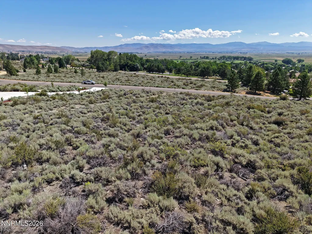 2458 Eagle Ridge Genoa NV 89411