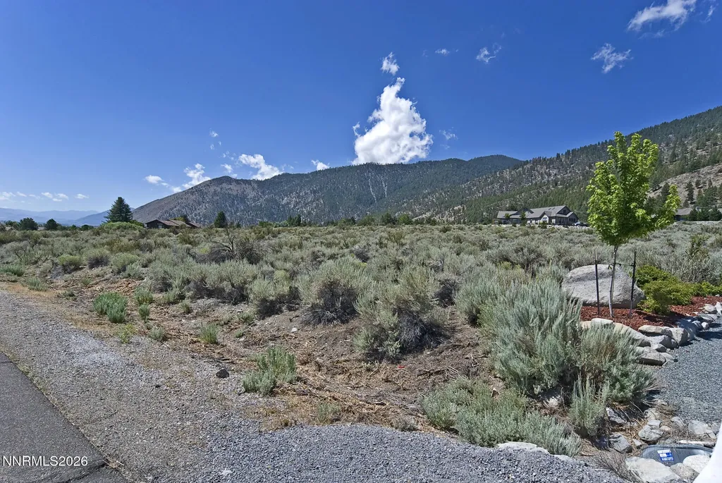 2458 Eagle Ridge Genoa NV 89411