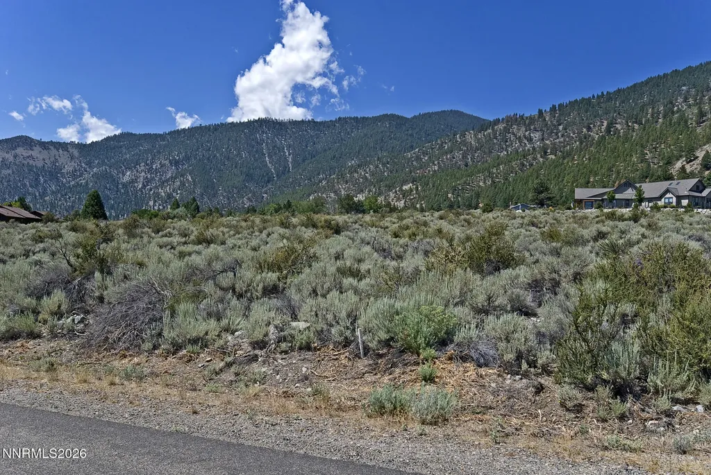2458 Eagle Ridge Genoa NV 89411