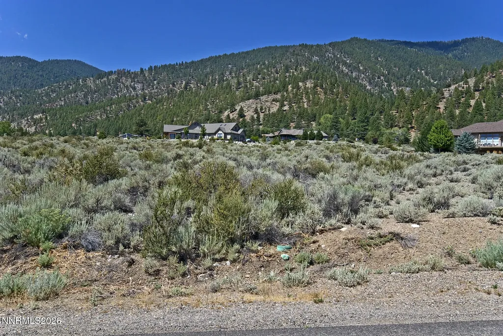 2458 Eagle Ridge Genoa NV 89411