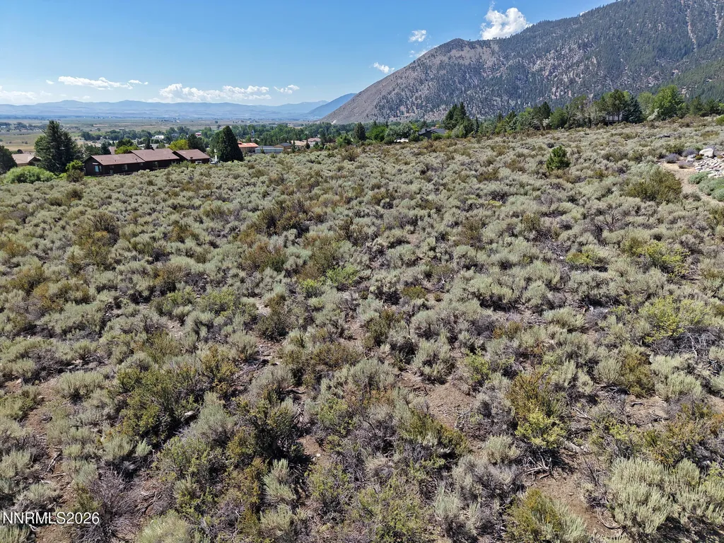 2458 Eagle Ridge Genoa NV 89411
