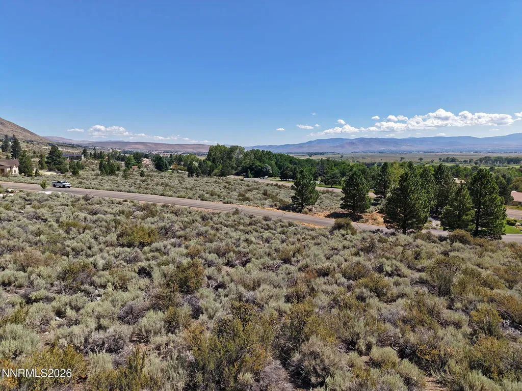 2458 Eagle Ridge Genoa NV 89411