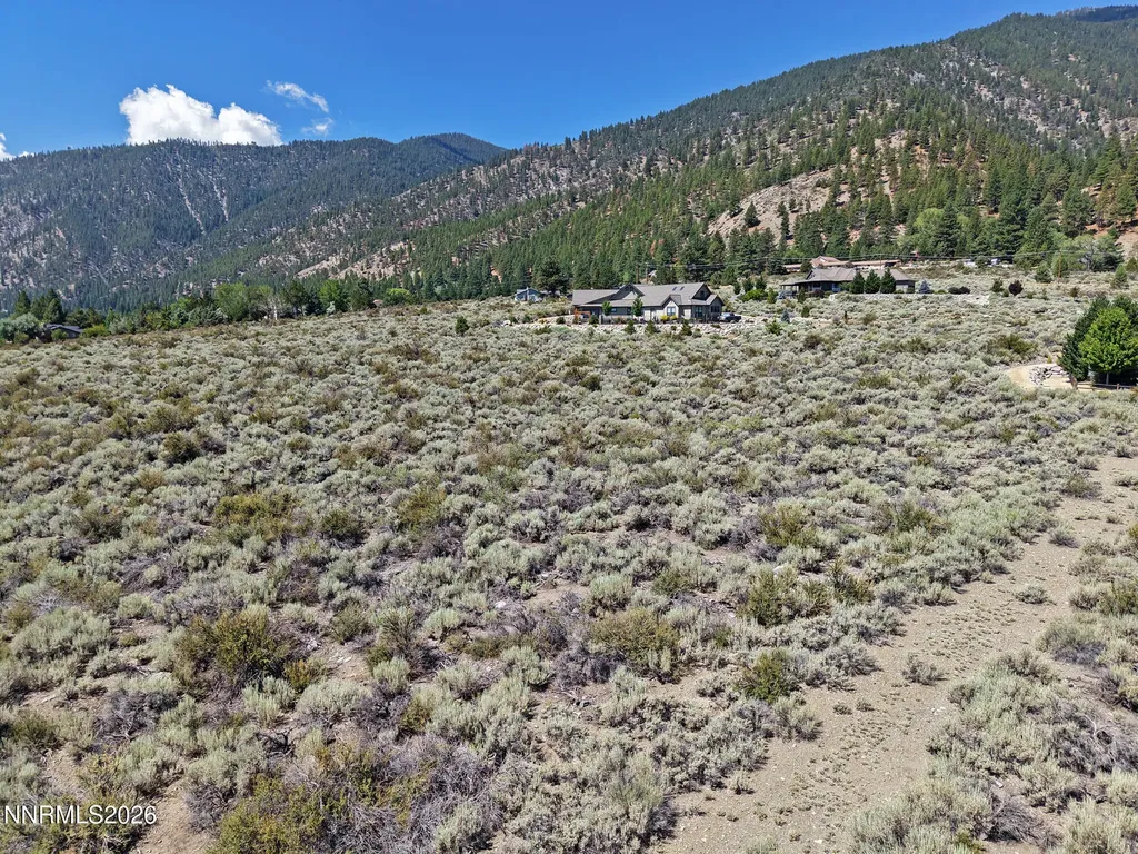 2458 Eagle Ridge Genoa NV 89411