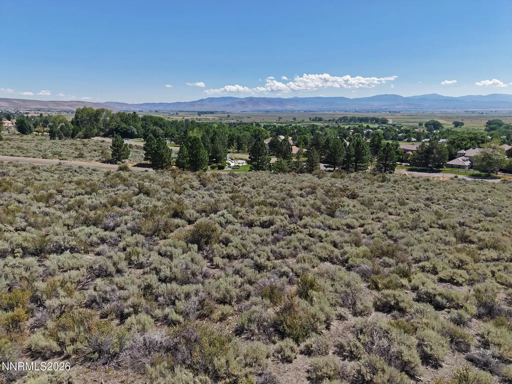 2458 Eagle Ridge Genoa NV 89411