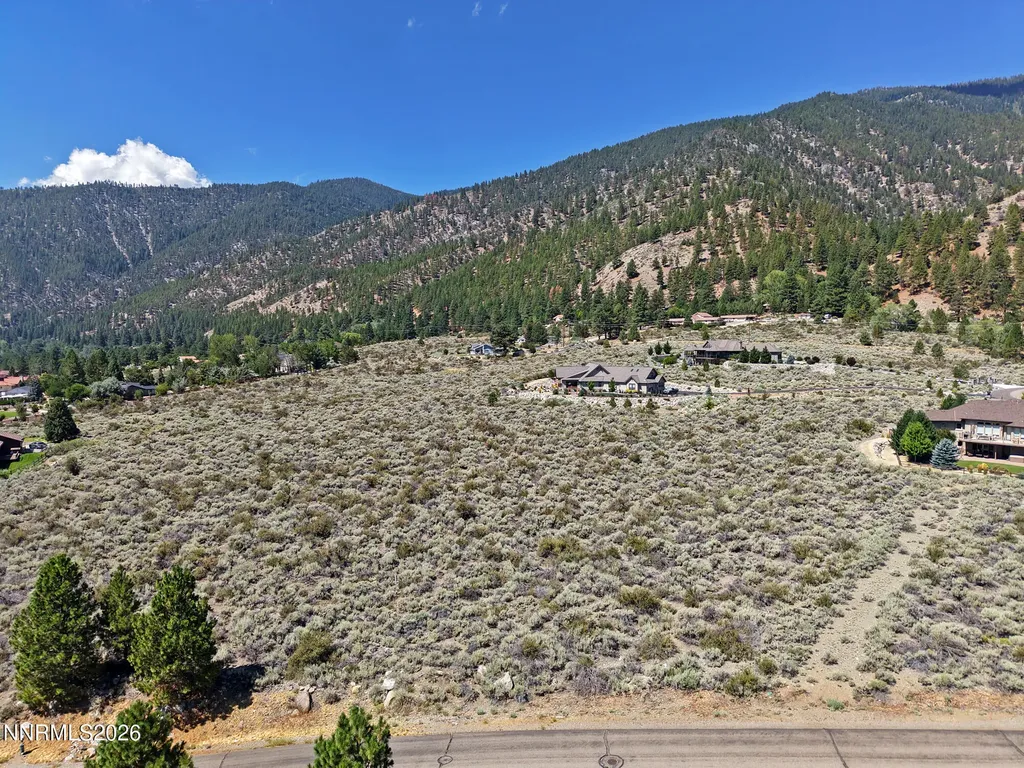 2458 Eagle Ridge Genoa NV 89411