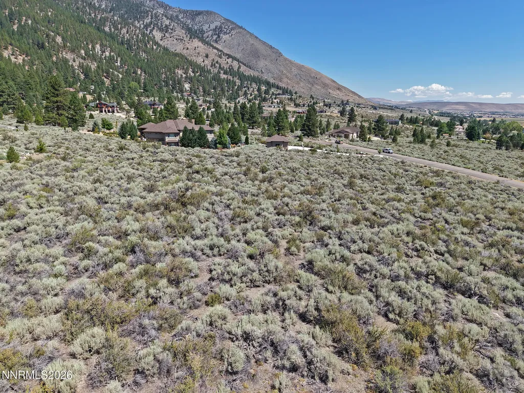 2458 Eagle Ridge Genoa NV 89411