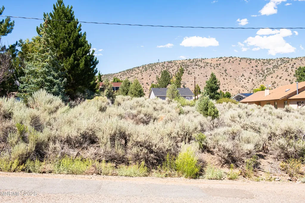 3466 Mark Twain Gardnerville NV 89410