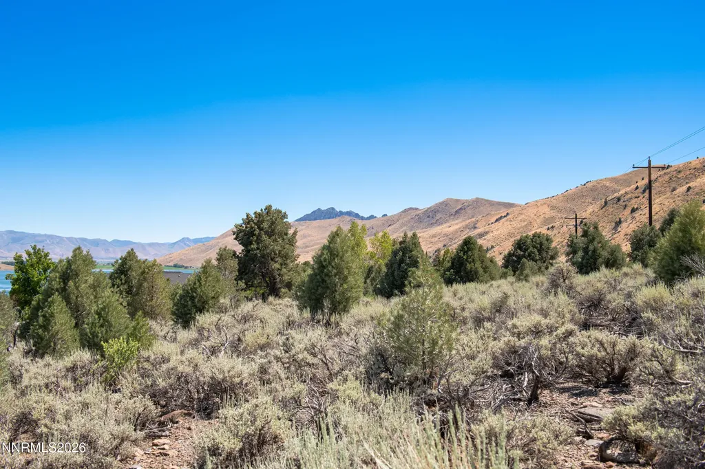 2006 Goldfield Gardnerville NV 89410