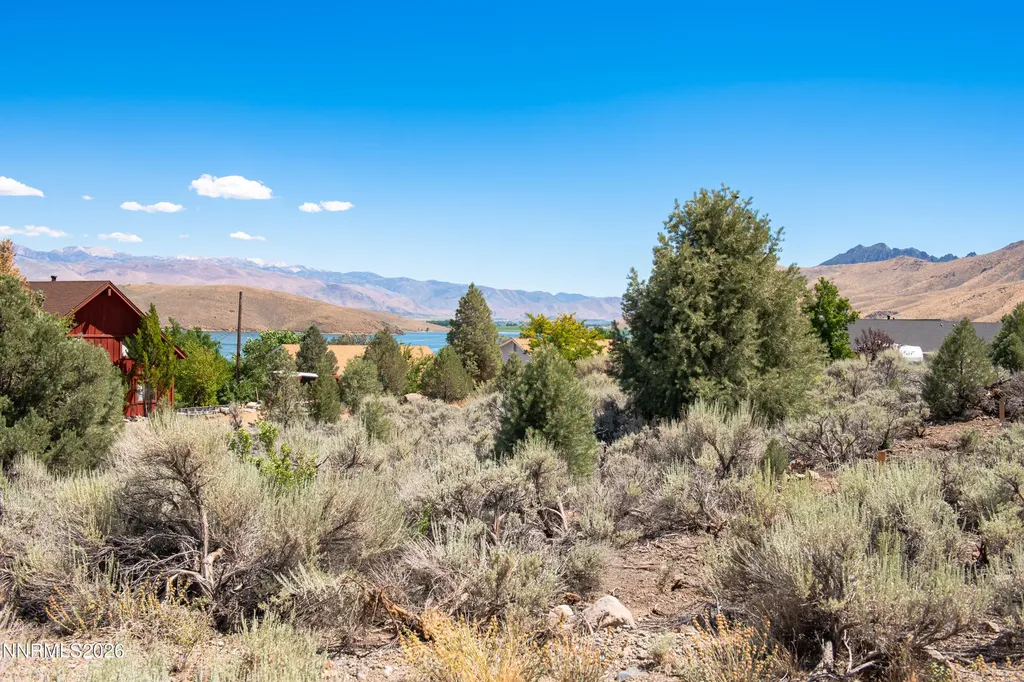 2006 Goldfield Gardnerville NV 89410