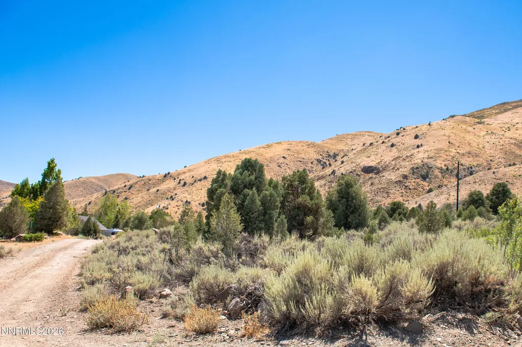 2006 Goldfield Gardnerville NV 89410