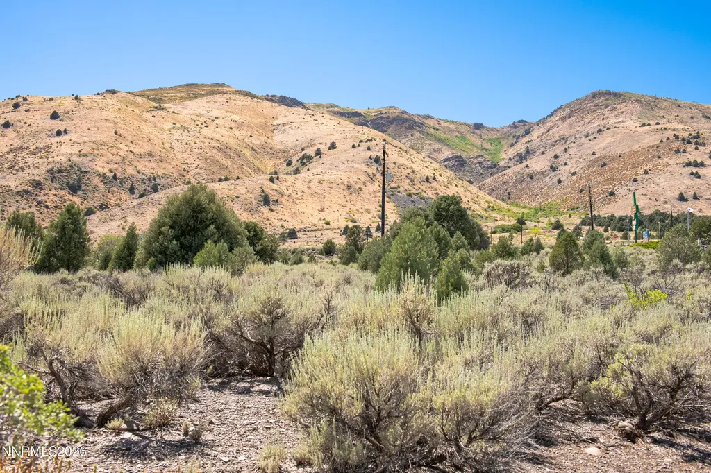 2006 Goldfield Gardnerville NV 89410