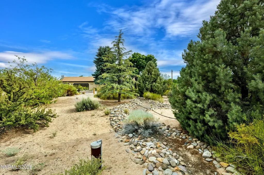 1565 Shirley Minden NV 89423