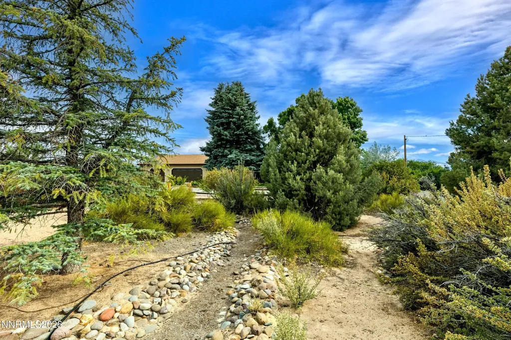 1565 Shirley Minden NV 89423