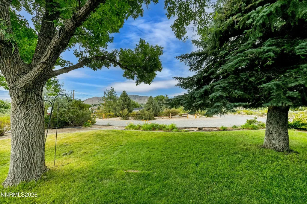 1565 Shirley Minden NV 89423
