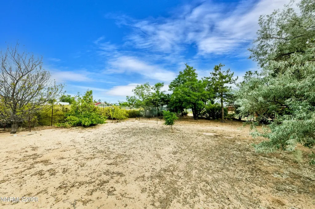 1565 Shirley Minden NV 89423