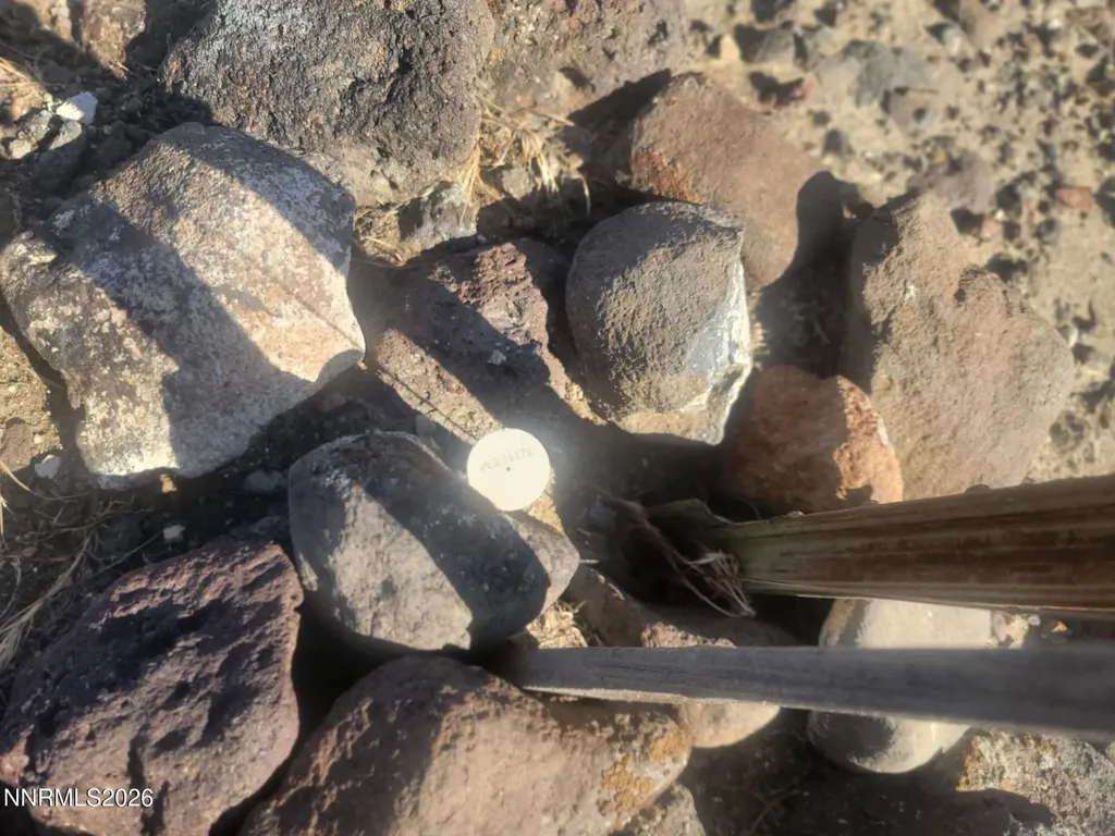 00 Gas Line Fernley NV 89408