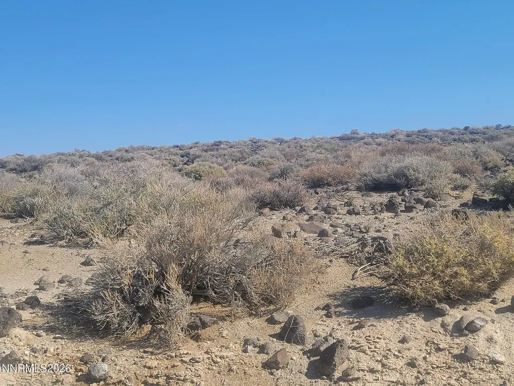 00 Gas Line Fernley NV 89408