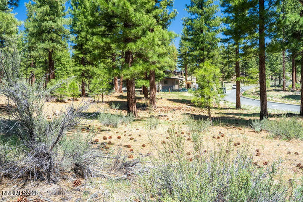 249 Redding Carson City NV 89705