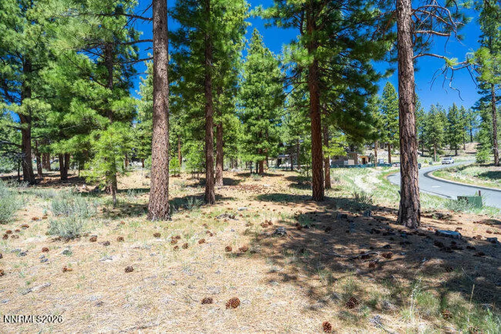 249 Redding Carson City NV 89705