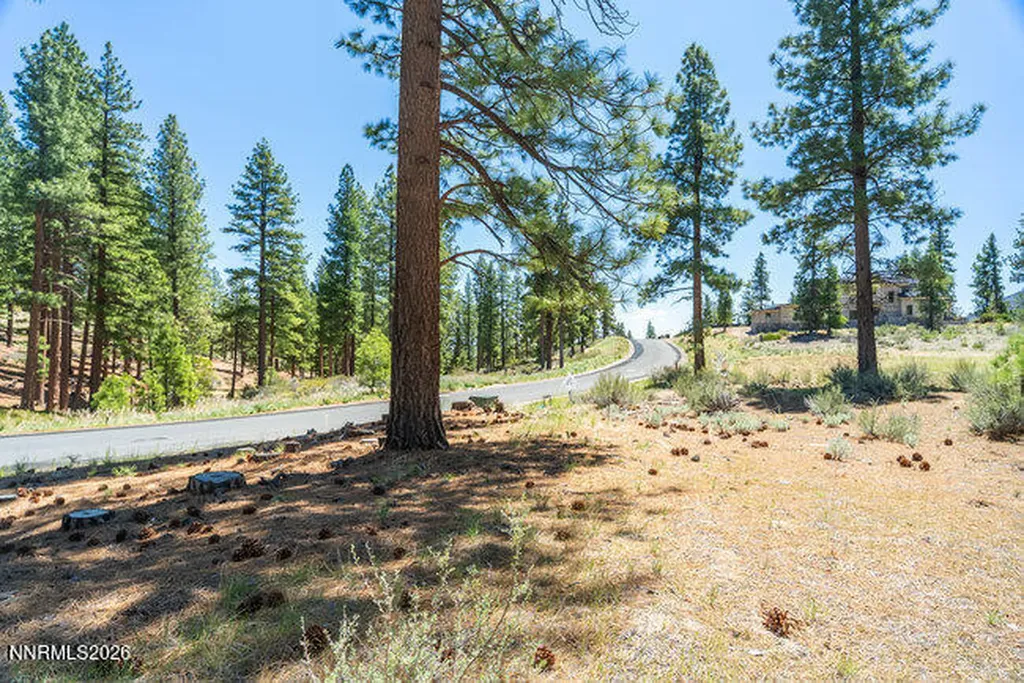 249 Redding Carson City NV 89705