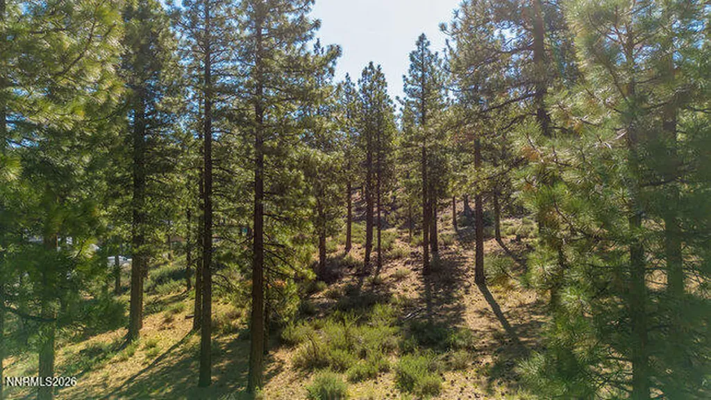 249 Redding Carson City NV 89705