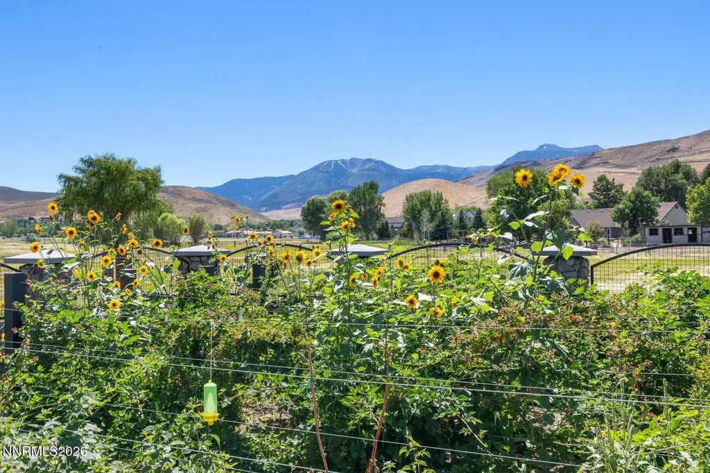 515 Rhodes Reno NV 89521