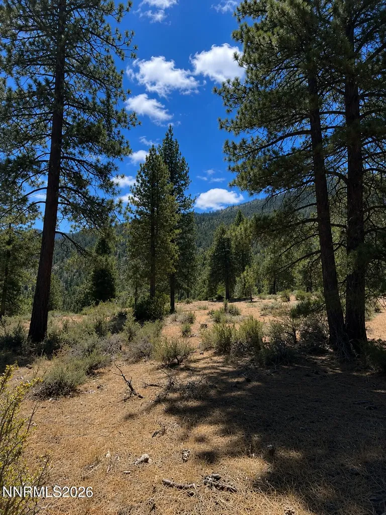 3571 Knob Point Carson City NV 89705