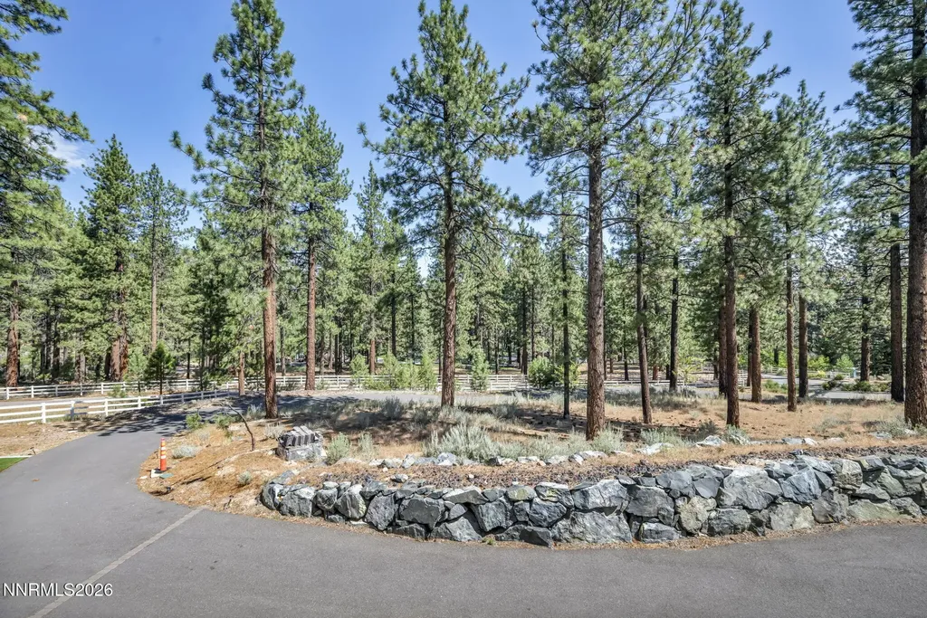 10 Franktown Washoe Valley NV 89704
