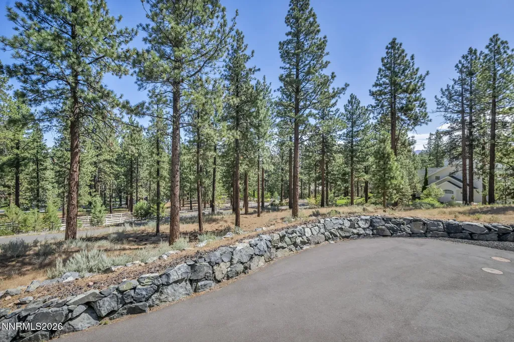 10 Franktown Washoe Valley NV 89704
