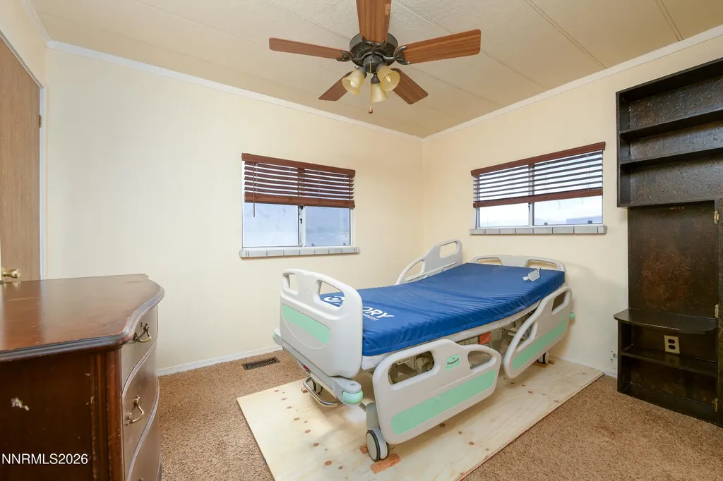 10 Wild Peach Wellington NV 89444