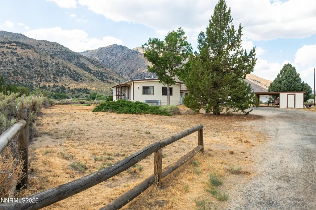 10 Wild Peach Wellington NV 89444