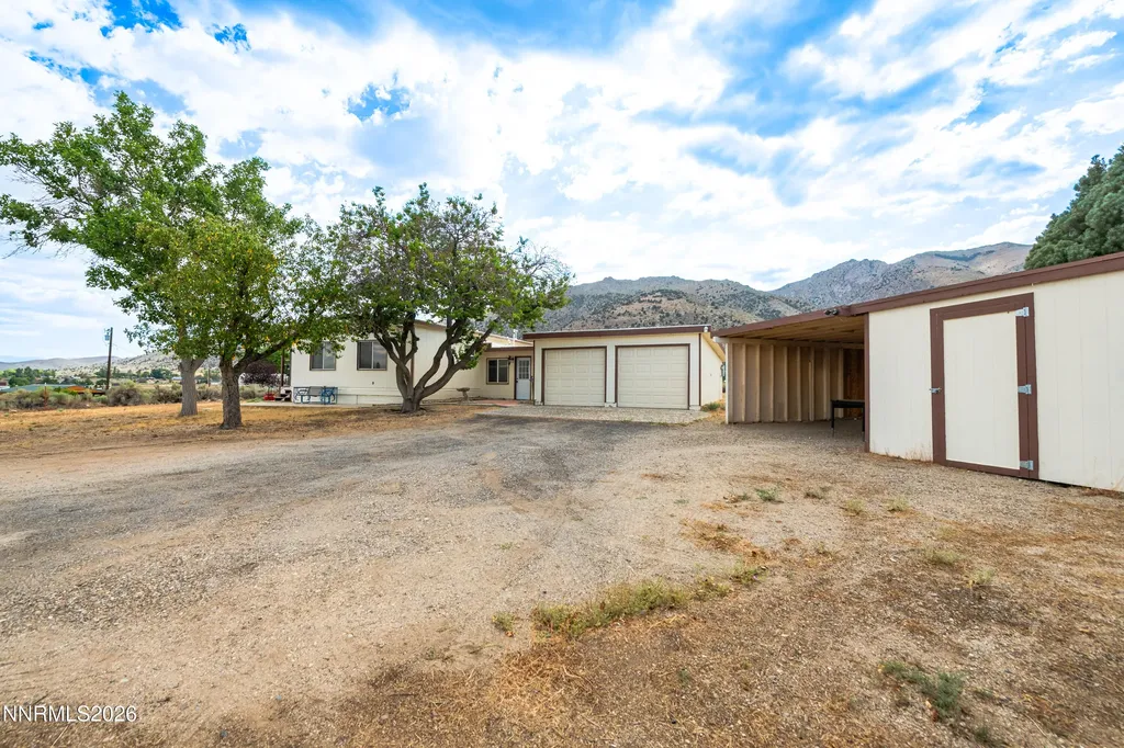10 Wild Peach Wellington NV 89444