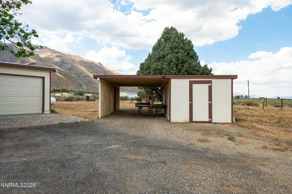 10 Wild Peach Wellington NV 89444
