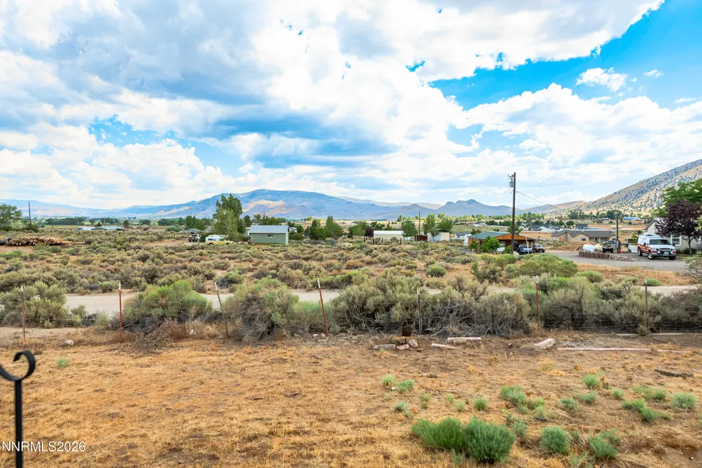 10 Wild Peach Wellington NV 89444
