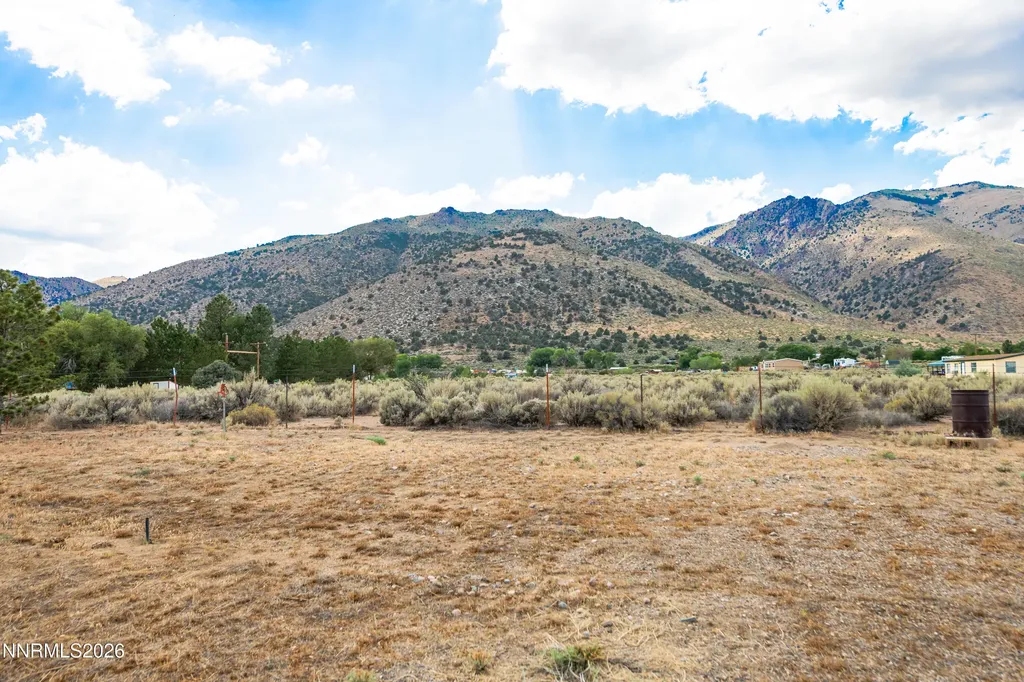 10 Wild Peach Wellington NV 89444