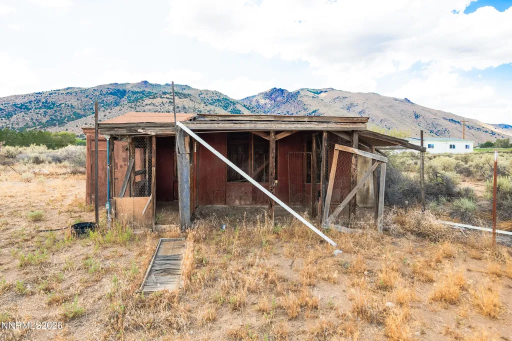 10 Wild Peach Wellington NV 89444