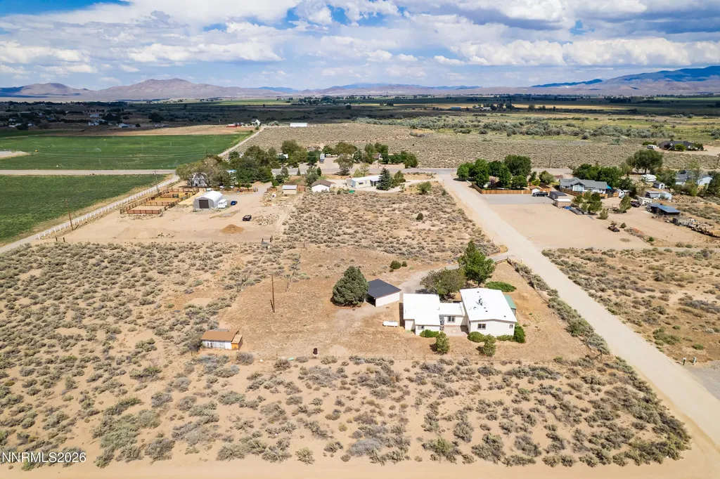 10 Wild Peach Wellington NV 89444