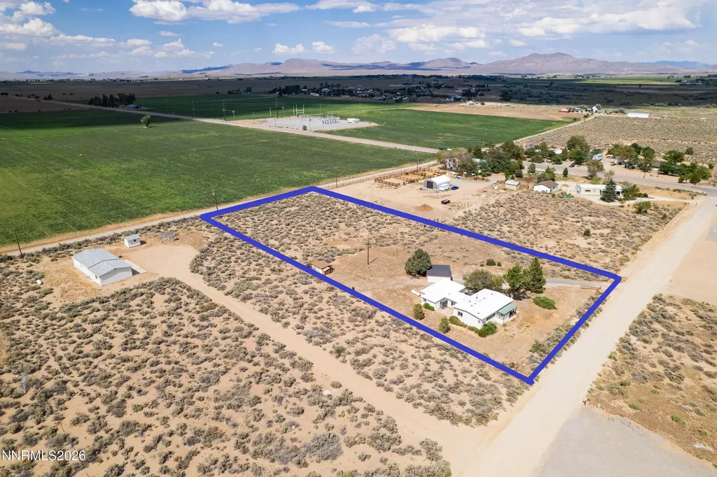 10 Wild Peach Wellington NV 89444